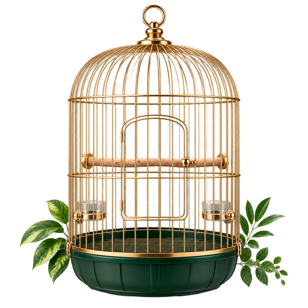 Cages & Accessories